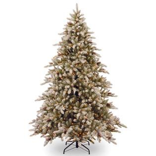 National Tree Company 9 ft. Snowy Concolor Fir Tree with Clear Lights
