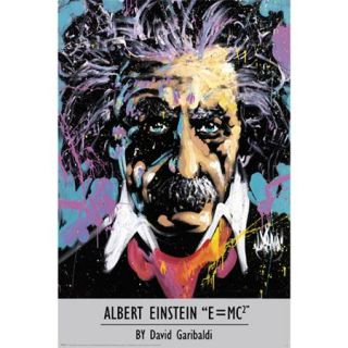 Garibaldi   Einstein Poster