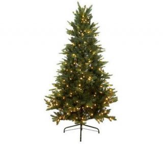 Santas Best 6.5 BlueSpruce LED Tree with Retro Bulbs and 5 Year LMW —