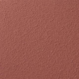 Ralph Lauren 13 in. x 19 in. #RR115 Cavern Clay River Rock Specialty Paint Chip Sample RR115C