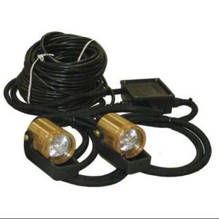KASCO LR275100 Lighting System, 120V, 150W, Cord 100 Ft