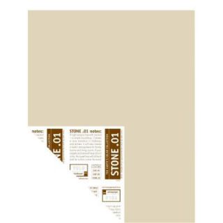YOLO Colorhouse 12 in. x 16 in. Stone .01 Pre Painted Big Chip Sample 221611