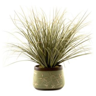 Silks Onion Grass in Oblong Ceramic Planter   Shopping