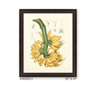 American Giclee Print in Wooden Frame   14732047  