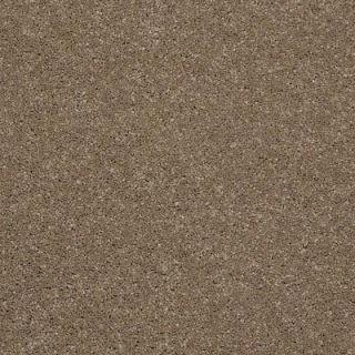 Peaceful Moments I (S)   Color Aztec Sand 12 ft. Carpet HDD5657771