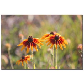 Black Eyed Susan Daisy by Patty Tuggle Photographic Print on Canvas