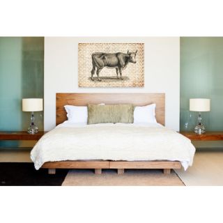 Canyon Gallery Cow Graphic Art on Wrapped Canvas by Oliver Gal