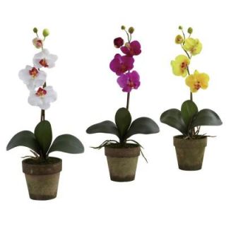 Nearly Natural Potted Phalaenopsis (Set of 3) 4065 AS S3