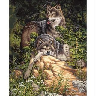 Paint By Number Kit 16"X20" Wild & Free Wolves
