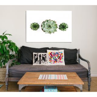 Kindred Sol Collective Succulents by Romina Bacci Photographic Print