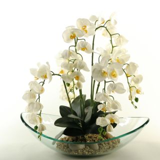 Phael Orchids in Large Glass Bowl by D & W Silks