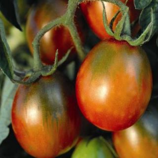 Seeds of Change Tomato, Paste, Black Plum 01570