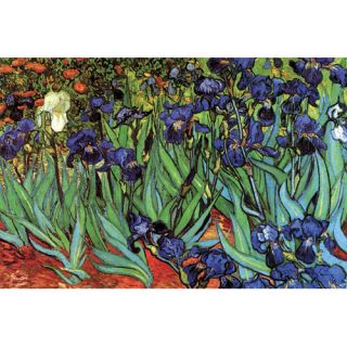Irises by Vincent Van Gogh Painting Print by Buyenlarge