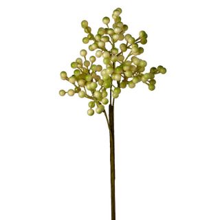 Sage & Co Sage & Co. Currant Berry Pick 14 inch Stem (Pack of 12)