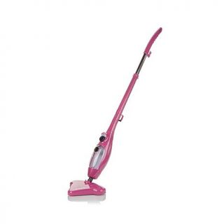 H2O Mop X5 Steam Cleaner with Accessories and Mitt   7876075