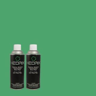 Hedrix 11 oz. Match of 1B51 6 Turf Low Lustre Custom Spray Paint (2 Pack) 1B51 6