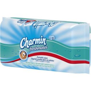 Charmin Freshmates Flushable Wipes, 40 sheets, Pack of 2