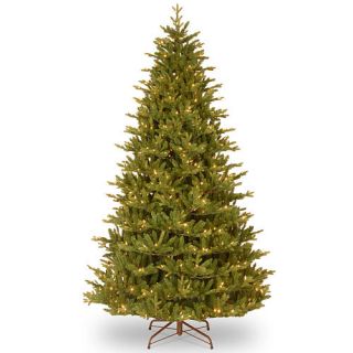 7.5 Foot Woodward Fir Tree with Clear Lights    National Tree Company
