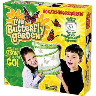 As Seen on TV Butterfly Garden by Insect Lore