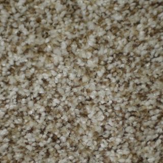 STAINMASTER Active Family Documentary Houdini Textured Indoor Carpet
