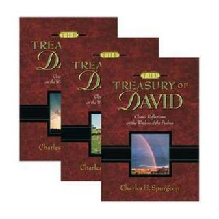 Treasury of David Classic Reflections On (Hardcover)