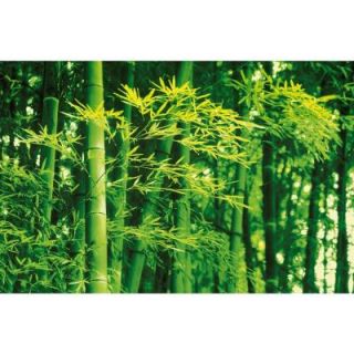 Ideal Decor 45 in. x 0.25 in. Bamboo in Spring Wall Mural DM670