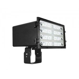 Ark Lighting AFLL 206 TR L20 LED Outdoor Light, 40W 120 277V 4700K Floodlight w/Trunnion   Black