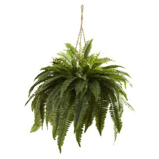 Nearly Natural Double Giant Boston Fern Hanging Basket